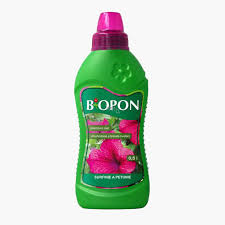 Image result for foto surfínie