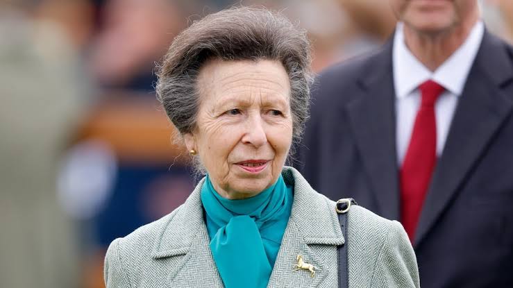 Britain's Princess Anne 'recovering well' following 'incident,' husband  says - ABC News
