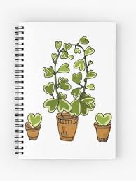 Water hoyas in general are great for neglectful gardeners! Hoya Kerrii Care Guide How To Maintain Your Hoya Kerrii Plant Laptrinhx News