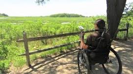 Birding for All