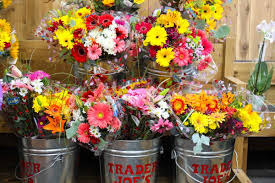 Don't worry if you're still working on your green thumb because these plants are cheap enough to offer room for some even include their own cute planters. 100 Best Things To Buy At Trader Joe S Female Foodie