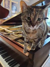 I recommend that the piano be completely restrung, both treble and bass strings as this will give a more beautiful sound to the piano. Services Pricing Pianoworks