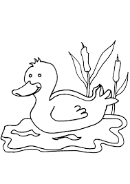 Check spelling or type a new query. Coloring Pages Duck Coloring Pages For Kids