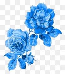 Flowers Pattern Flower Print Png Transparent Clipart Image And Psd File For Free Download Flower Png Images Flower Backgrounds Royal Blue Flowers
