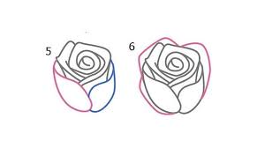 Hal ini menunjukkan mewarnai menajdi sebuah sebuah metode. Cara Menggambar Bunga Mawar Dengan Mudah Cocok Untuk Anak Anak Citizen6 Liputan6 Com