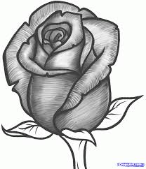 Different types of flowers drawing with colour. Drawing Images Of Rose Flowers Top Collection Of Different Types Of Flowers In The Images Hd