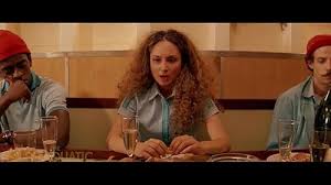 Image result for Robyn 500