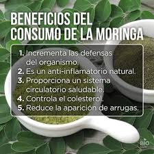 Pin En Frutas Verduras Y Semillas