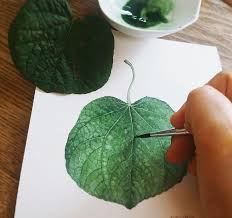 Sulu Boya Yaprak Botanical Watercolor Botanical Art Watercolor Leaves