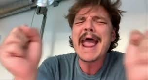 Pedro pascal laugh then crying. Train The Same Video Of Pedro Pascal Laughing And Crying With Different Videos