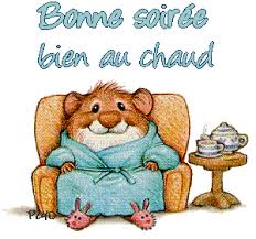 Résultat de recherche d'images pour "gif bonne soirée d'hiver"