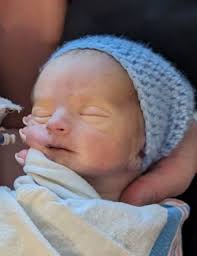 Obituary information for Archer Robert Gorczyca