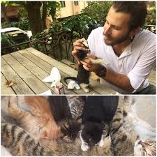 Hasan Soylemez On Twitter Mahallede Azgin Bir Kedi Dolasiyor Butun Disi Kediler Onun Serrinden Kacip Bizim Ofise Sigindilar Kapida Bagirip Duruyor Sapik Herif