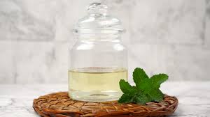 Image result for Peppermint Oil