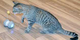 The 10 Best Robotic Cat Toys 2020 Latest Review Cat Toys Cats Interactive Cat Toys