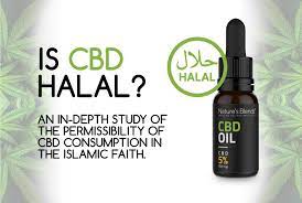 Find out how to use it and how to make it! Is Cbd Oil Halal Shia Why Islam Prohibits The Recreational Use Of Marijuana A Network Of Receptors That Interacts With Various Cannabinoids To Maintain Vital Functions Throughout Multiple Studies Have