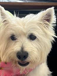 Do you remember Calliope, the funny blond from long ago?