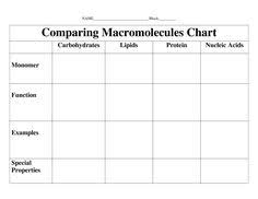 14 best biology macromolecules images biology biology