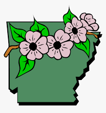 This real magnolia leaf has been dried, pressed, and hand embroidered. Arkansas Map And Flowers Drawing Arkansas State Flower Hd Png Download Transparent Png Image Pngitem