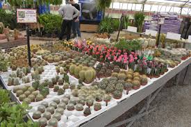 Water a christmas cactus with care. Canadian Greenhouse Conference Bus Tour
