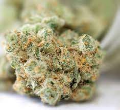 Stated effects are based on an aggregate of . Thin Mint Girl Scout Cookies Sorteninformationen Cannaconnection Com