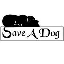 We network adoptable dogs and provide information to help dog parents. Save A Dog Inc Saveadoginc Twitter