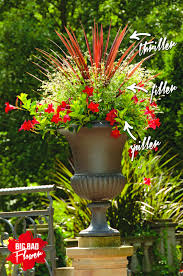 Thriller Filler Spiller Container Garden Design Concept Explained Container Flowers Container Garden Design Container Gardening