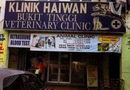 Membantu merawat pesakit dalam klinik 2. Bukit Tinggi Animal Clinic Veterinarian In Klang