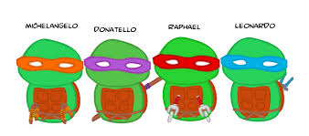 Teenage Mutant Ninja Turtles By Namesash On Deviantart Ninja Turtles Names Ninja Turtle Party Ninja Turtle Pumpkin