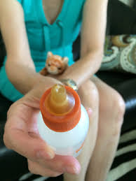 Improper bottle position or improper use of tube feeding can also. Cat S Cradle A Guide To Bottle Feeding Orphaned Kittens Part 2 The Hi Lo
