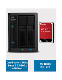 Western Digital Pr2100 Nas Server Wd Red 24tb 2x12tb