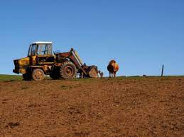 Ue isi propune sa joace un rol cheie in garantarea securitatii alimentare la nivel mondial, prin urmare agricultura joaca un rol cheie in dezvoltarea economica a uniunii, fiind sustinuta de catre ue prin diverse masuri financiare /sociale. Masura 141 Finantare Ro