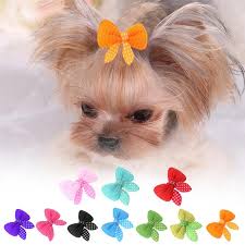 But most of us don't do the dog shows but still want some cute bows for. 10pcs Pet Grooming Accessories Hairpins Cat Hair Clips Diy Dog Hair Bows Boutique Buy At A Low Prices On Joom E Commerce Platform