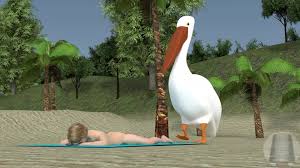 Pelican vore - ThisVid.com