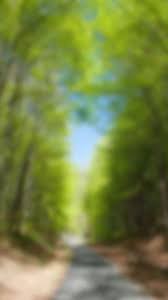 Blurred edges are added to the original image. Coleccion De Wallpapers De La App Telegram Pinsho Com In 2021 Blur Background Photography Desktop Background Pictures Photoshop Digital Background