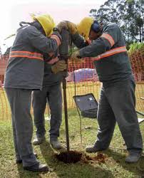 ÁREAS CONTAMINADAS Com técnicas de remediação, é possível revitalizá-las  ÁREAS CONTAMINADAS Com técnicas de remediaçã