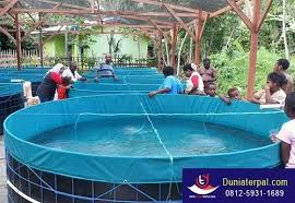 Pin Oleh Dunia Terpal Di Jual Kolam Terpal Kolam
