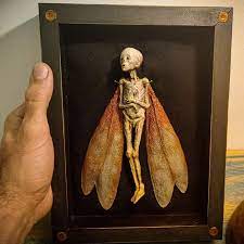 🦑 Cursed Items Dead Fairy Shadow Box Display Handmade Creepy Mummified  Corpse | Inox Wind