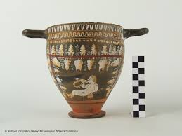 Image result for Dignathia