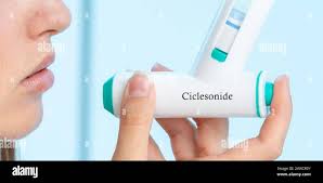 Image result for Intranasal Ciclesonide