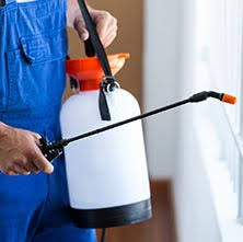 Top 10 Gurgaon Pest Control Best Pest Control In Gurgaon Thepackersmovers