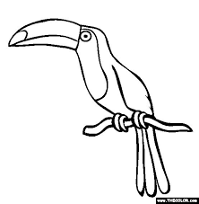 Toucan bird coloring book for adults vector. Bird Online Coloring Pages Page 1 Bird Coloring Pages Rainforest Animals Animal Coloring Pages