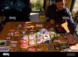 Nelson steele hi-res stock photography and images