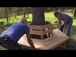 Eine Bank Unter Einem Baum Selberbauen Mdr Garten Youtube In 2020 Mdr Garten Bank Um Baume Vorgarten Garten