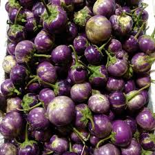 Jual Terong lalap ungu bulat 1kg - Kota ...
