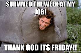 Start your weekend with the best friday meme collection and leave the stress. Survived The Week At My Job Thank God Its Friday Ace Ventura Rhino Warm Meme Generator