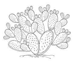 Houseplant, indoor plant, summer patio plant. Vector Bush Of Outline Indian Fig Opuntia Or Prickly Pear Cactus Fruit And Spiny Stem In Black Isolated On Whi Prickly Pear Cactus Pear Drawing Cactus Drawing