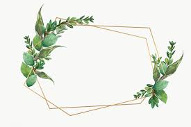 download premium png of tropical botanical frame transparent png 584994 frame design flower background wallpaper tropical frames flower background wallpaper