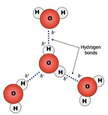 How Is Hydrogen Bonding Among Water Molecules Related To The Structure Of The Water Molecule Socratic Water Molecule Hydrogen Bond Chemical Structure