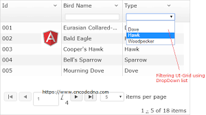 How To Implement Or Add Filtering To Angularjs Ui Grid